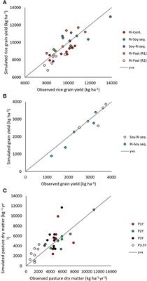 Measured and modeled nitrogen balances in lowland rice-pasture rotations in temperate South America